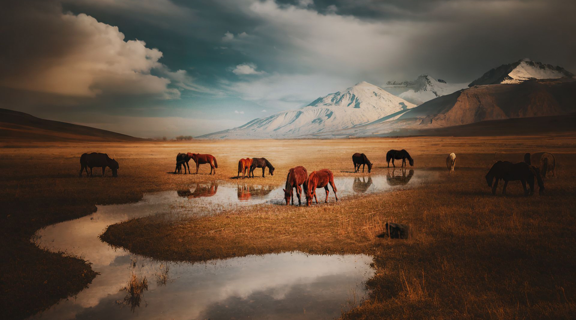 Gerçek yaşamların sessiz anlatıcısı.